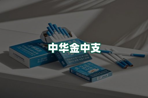 中华金中支